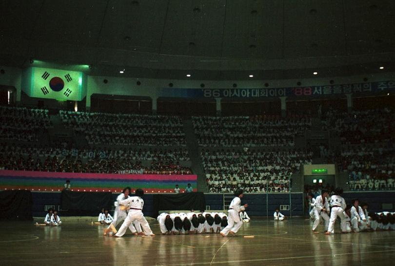 서울 청소년체육대회