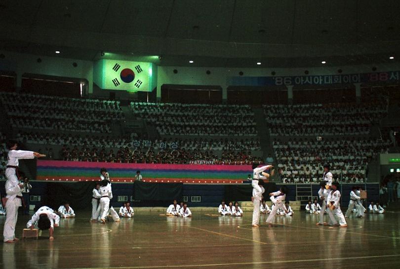 서울 청소년체육대회