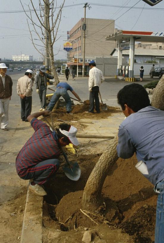 1987년 4월 남산 일원 전경