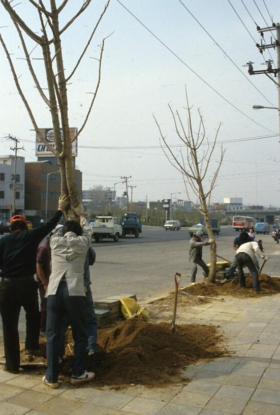 1987년 4월 남산 일원 전경