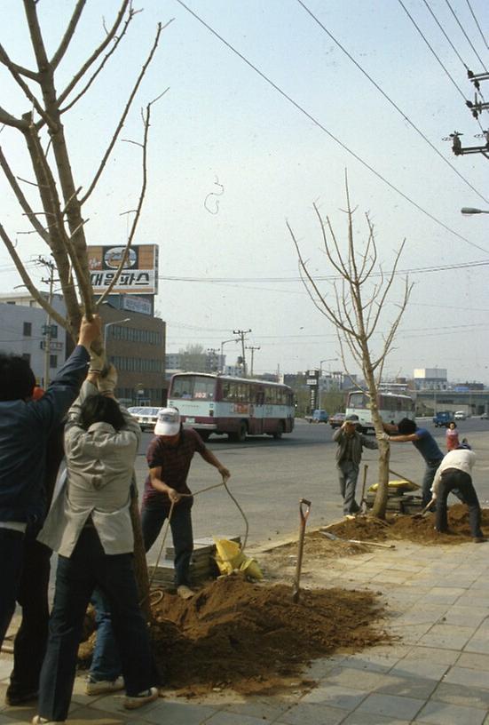 1987년 4월 남산 일원 전경