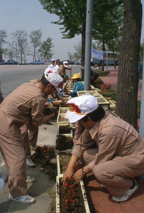 올림픽로 꽃 심기