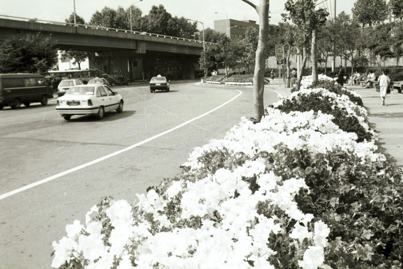 1988년 6월 서울시내 일원 꽃길