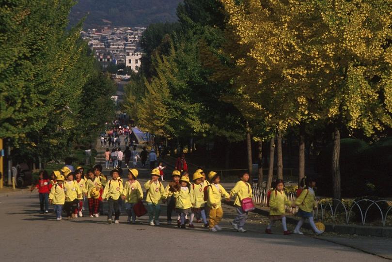 1988년 어린이대공원 공원