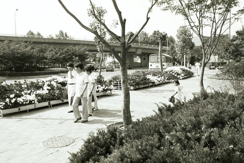 1988년 6월 서울시내 일원 꽃길