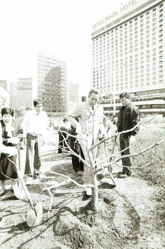 1989년 서울시청 앞 분수대 유실수 식재