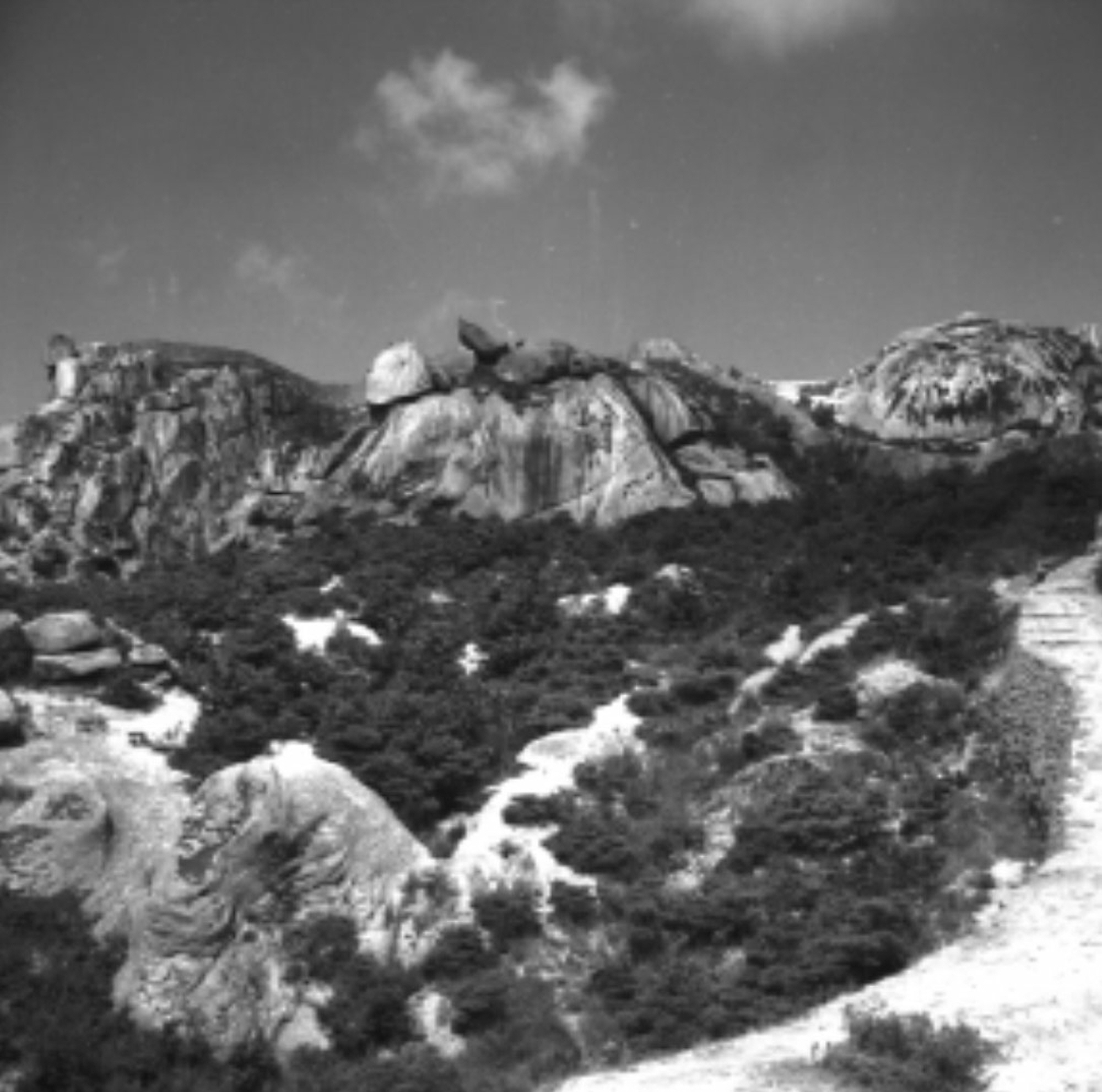 1963년 인왕산 전경