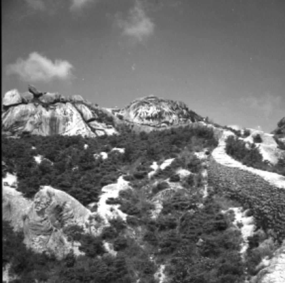 1963년 인왕산 전경