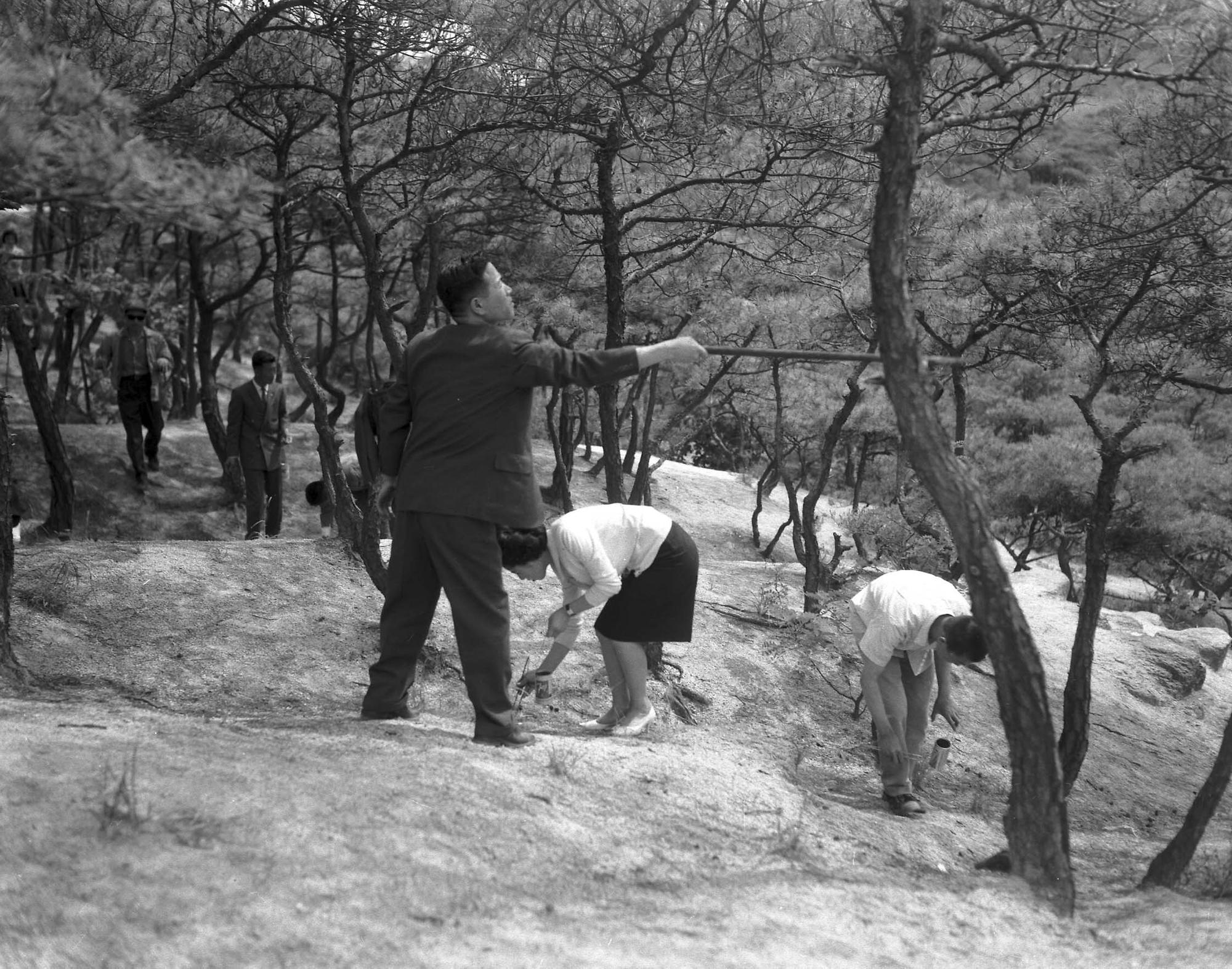 송충이 구제작업