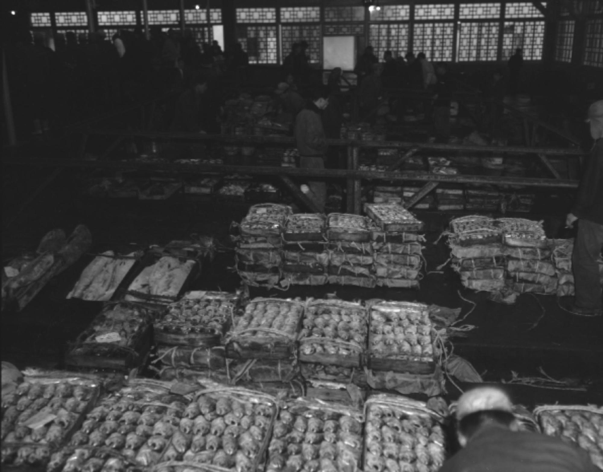 1964년 수산 시장 촬영