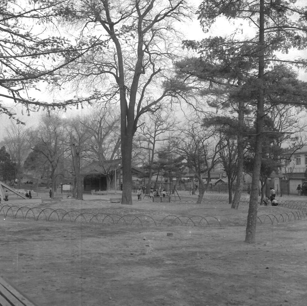 1963년 서울 시내 녹지대 전경